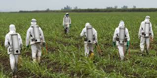 Lawsuit Alleges Monsanto Intentionally Mislabeled Dangerous “Inert” Ingredients