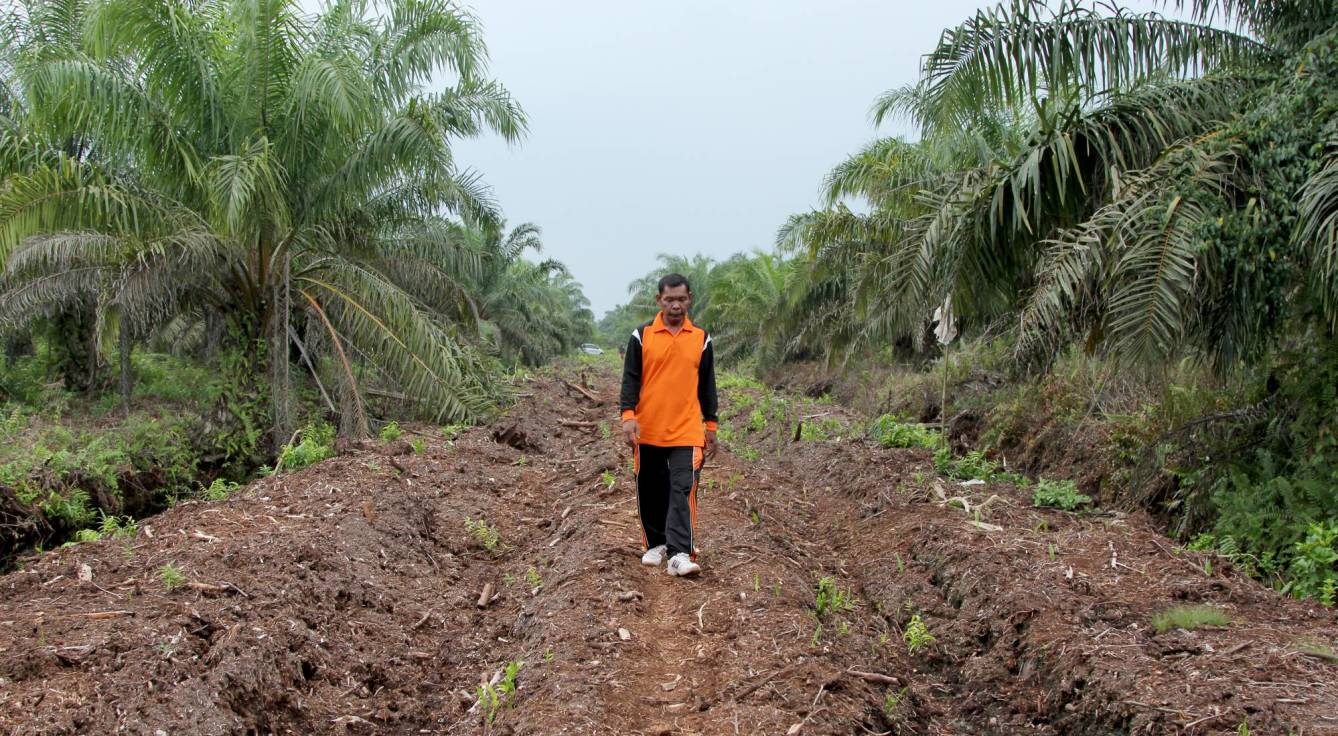 Un pueblo contra los incendios provocados por el aceite de palma