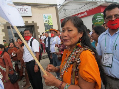 Igualdad y territorio, la lucha común de las indígenas andinas