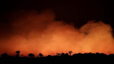 ONU llama a proteger la Amazonía en medio de incendios