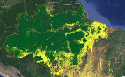 Arde la soberanía de Brasil junto con la Amazonia y la venta de Petrobrás