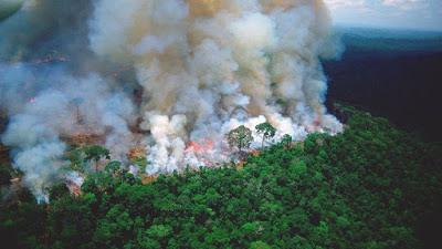 Amazon fires: how could this be happening on such a large scale? Who is behind it?