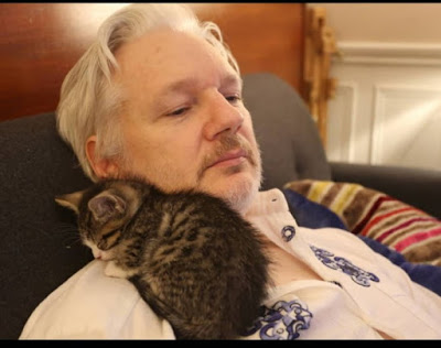 Audience de Julian Assange, lundi 29 juin : vers un procès sous quarantaine ?
