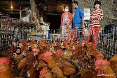 China to close all live poultry markets gradually
