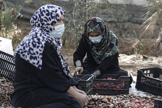 The Pandemic in the MENA Region, a Hardship But Also an Opportunity for Women